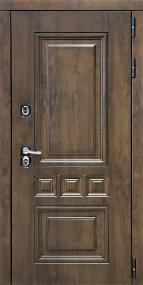 Входная дверь ДвериПРО Аура Без фрезеровки Дуб пацифик горизонт DPRO198231 внешняя сторона